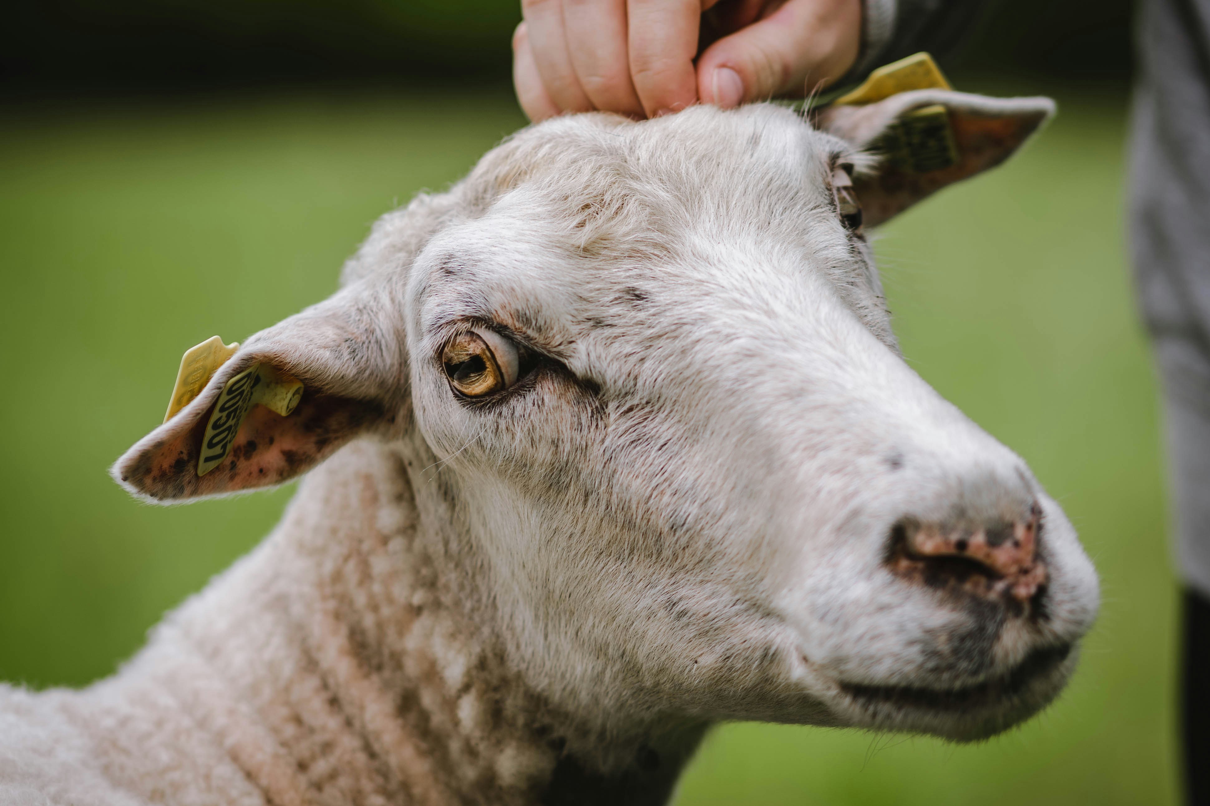 Photo by stevenerixon