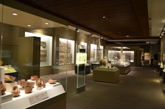 A museum exhibit displays various artifacts in glass cases. Pottery and ancient objects are showcased on pedestals and shelves, with soft overhead lighting illuminating the exhibits. Wall-mounted displays with engravings and stone art pieces add to the historical ambiance of the room.