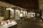 A close-up of ancient historical artifacts displayed in a museum setting with soft lighting.