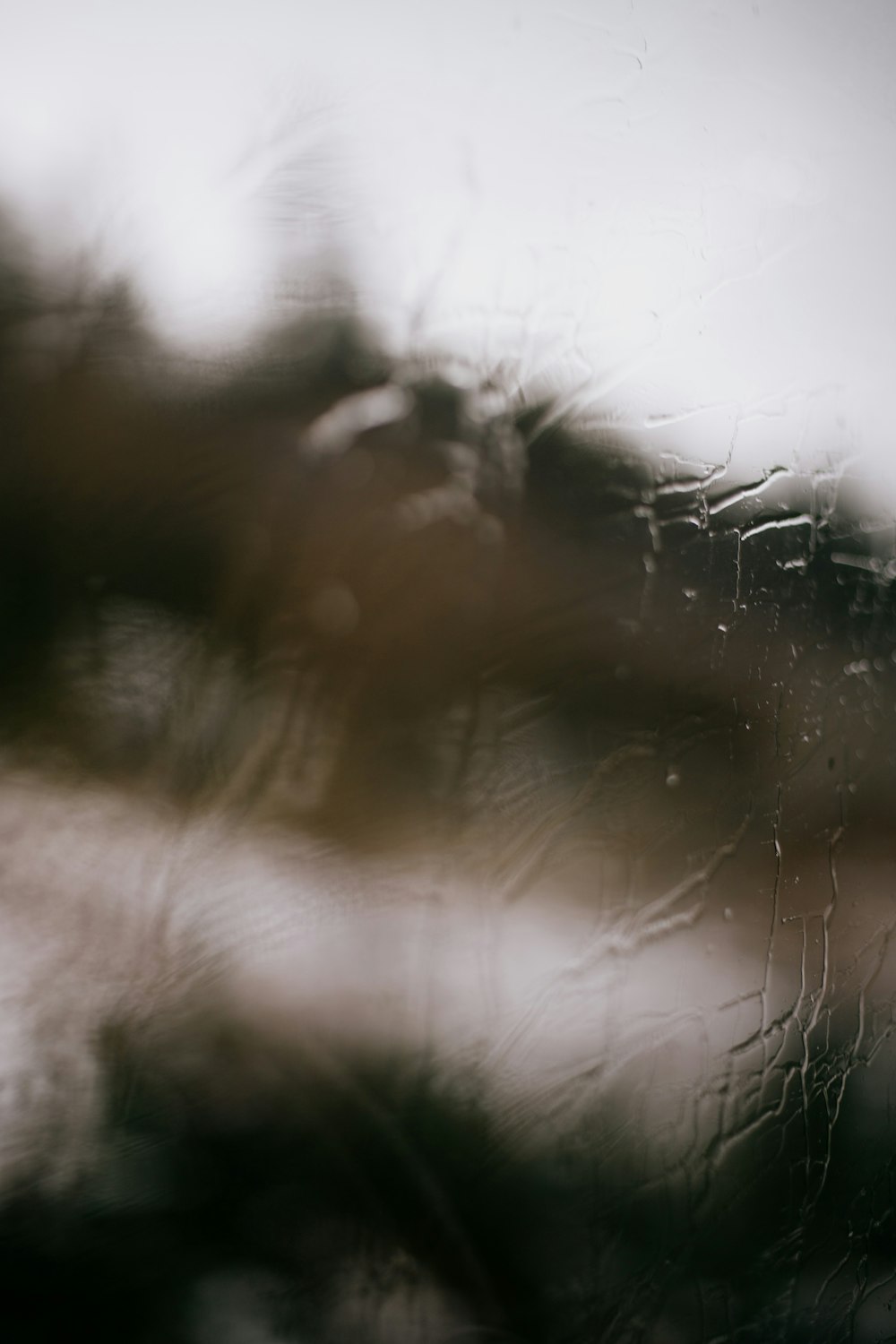 a blurry photo of a tree outside of a window