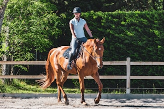 man in white t-shirt riding brown horse during daytime