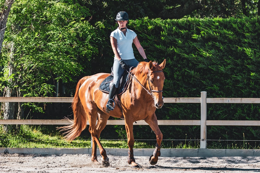 man in white t-shirt riding brown horse during daytime