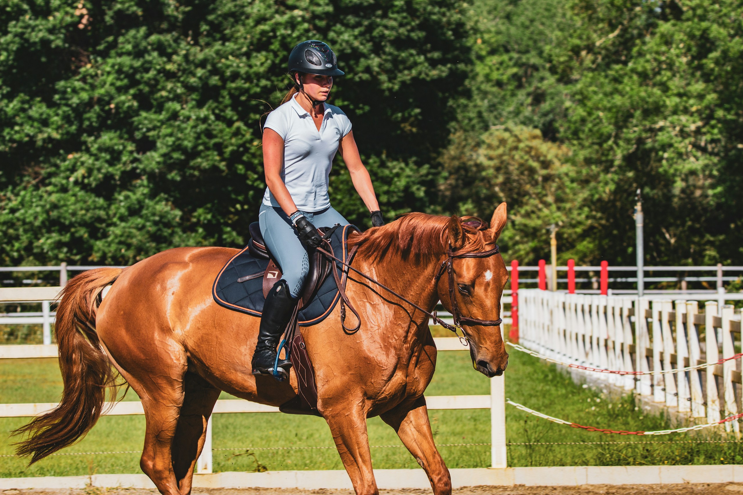 woman in white t-shirt riding brown horse during daytime