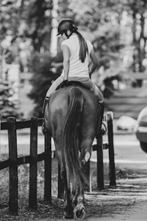 A person wearing a helmet and white shirt is riding a horse along a fenced path. The setting appears to be outdoors with trees and a pathway lined by a wooden fence. The mood is calm and serene, with a sense of peacefulness.