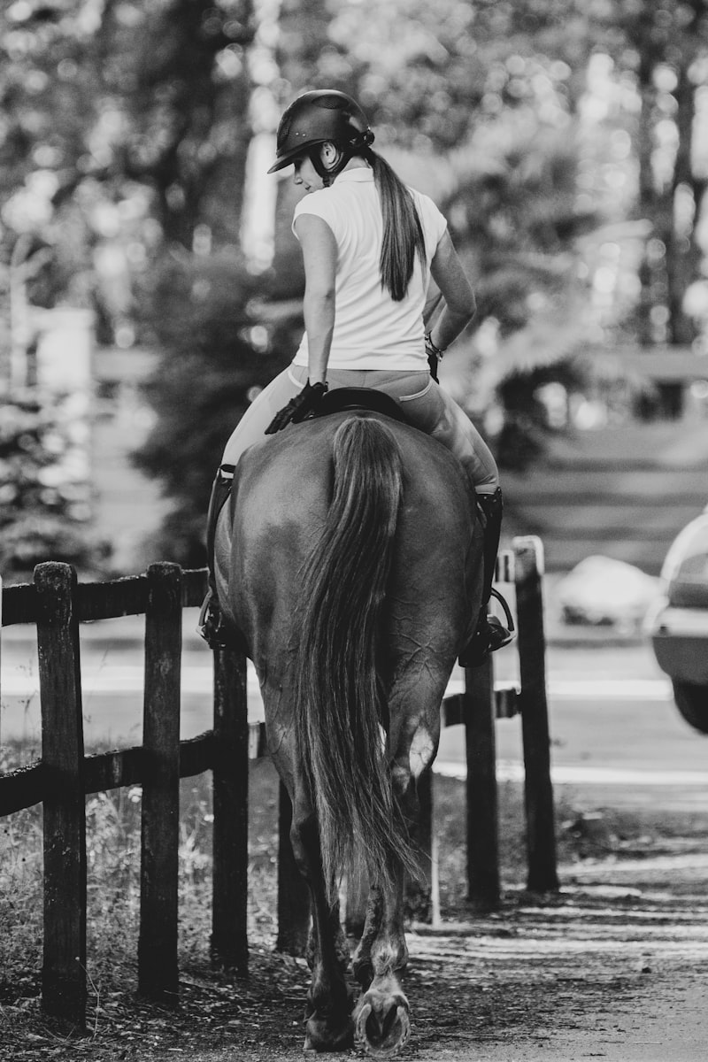 Pro Riding Breeches 3