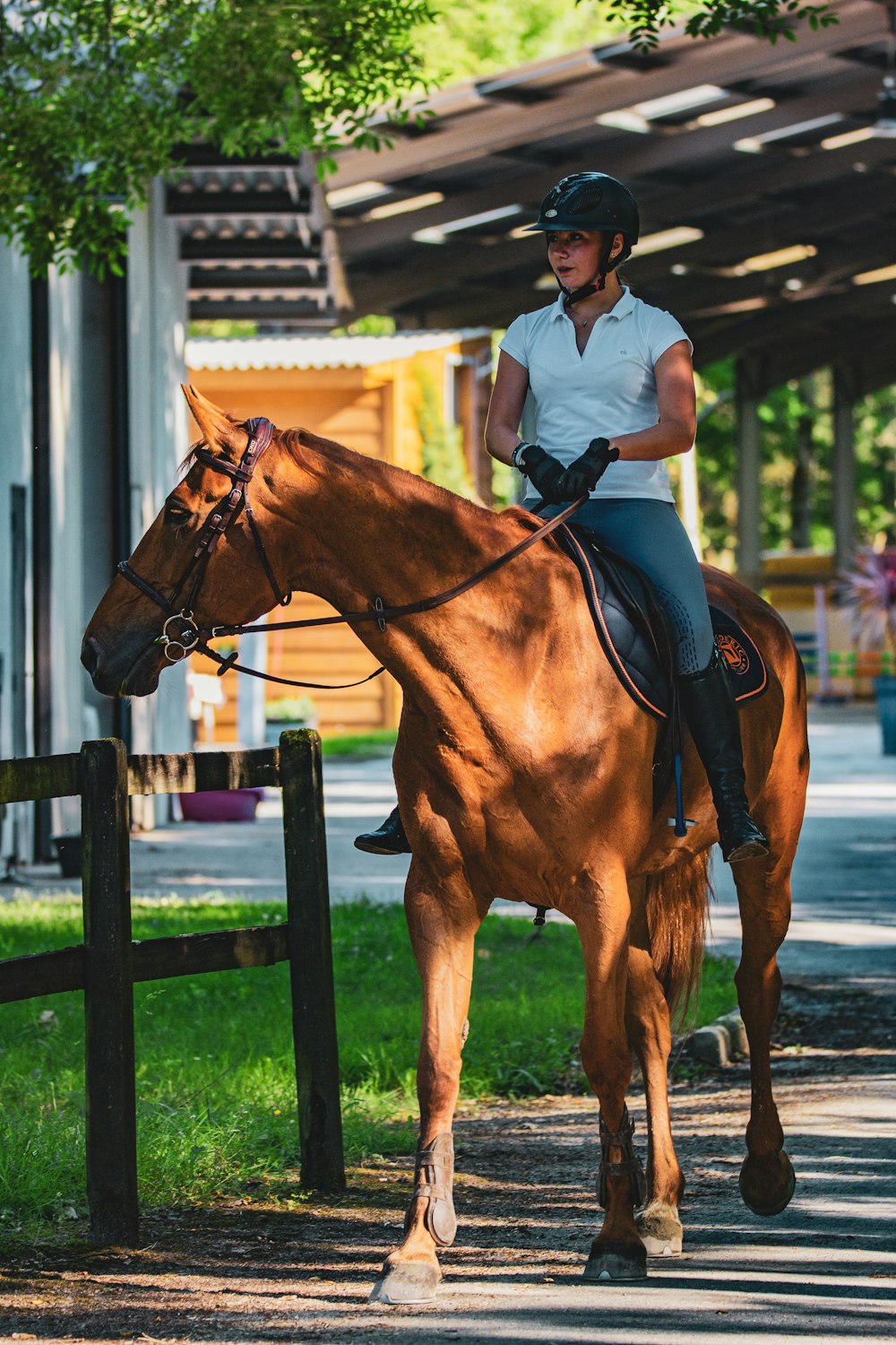 man in white polo shirt riding brown horse during daytime