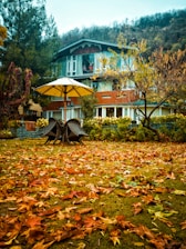 brown wooden bench on brown dried leaves
