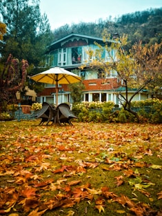 brown wooden bench on brown dried leaves