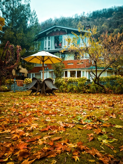 brown wooden bench on brown dried leaves
