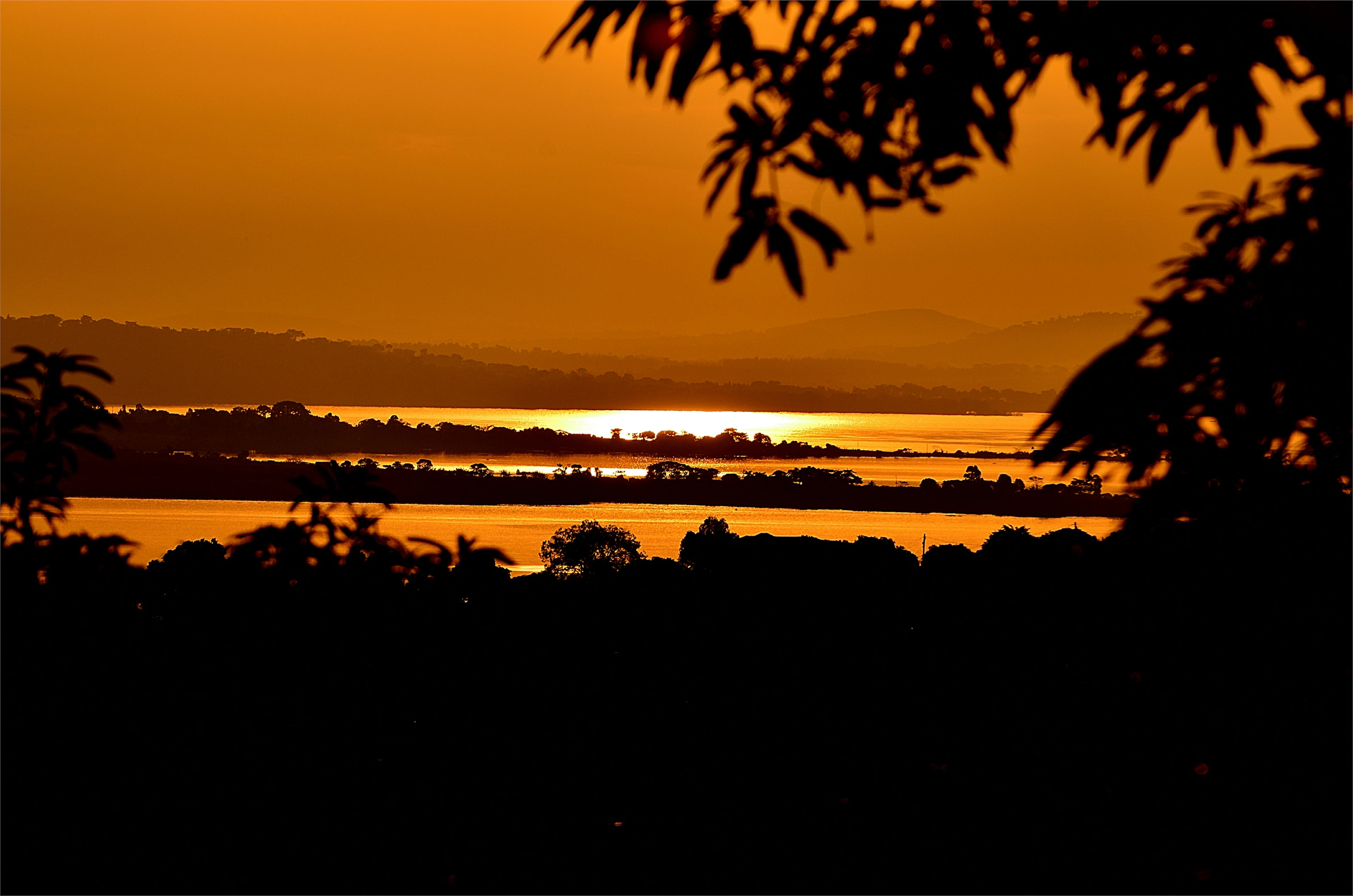 An orange sunrise over Lake Victoria in Uganda, with silhouetted trees in the foreground