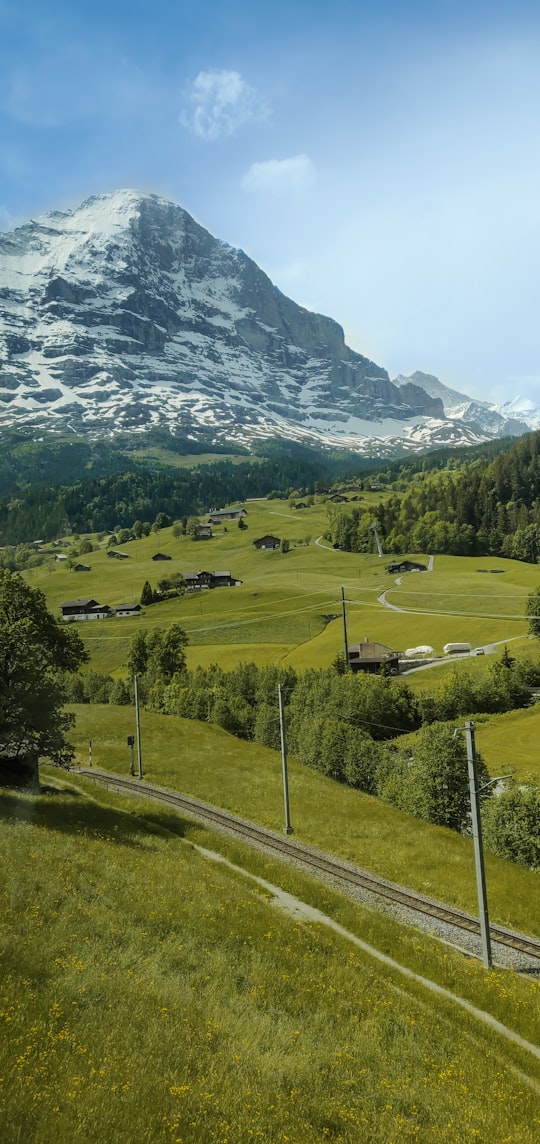 green grass field near snow covered mountain during daytime in Eiger Mountain Switzerland