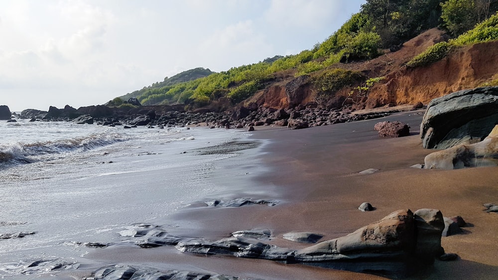 green and brown mountain beside body of water during daytime