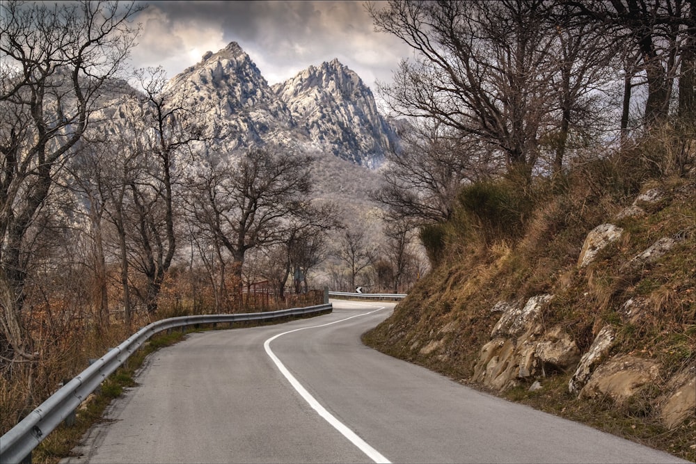 strada di cemento grigio vicino agli alberi marroni e alla montagna durante il giorno