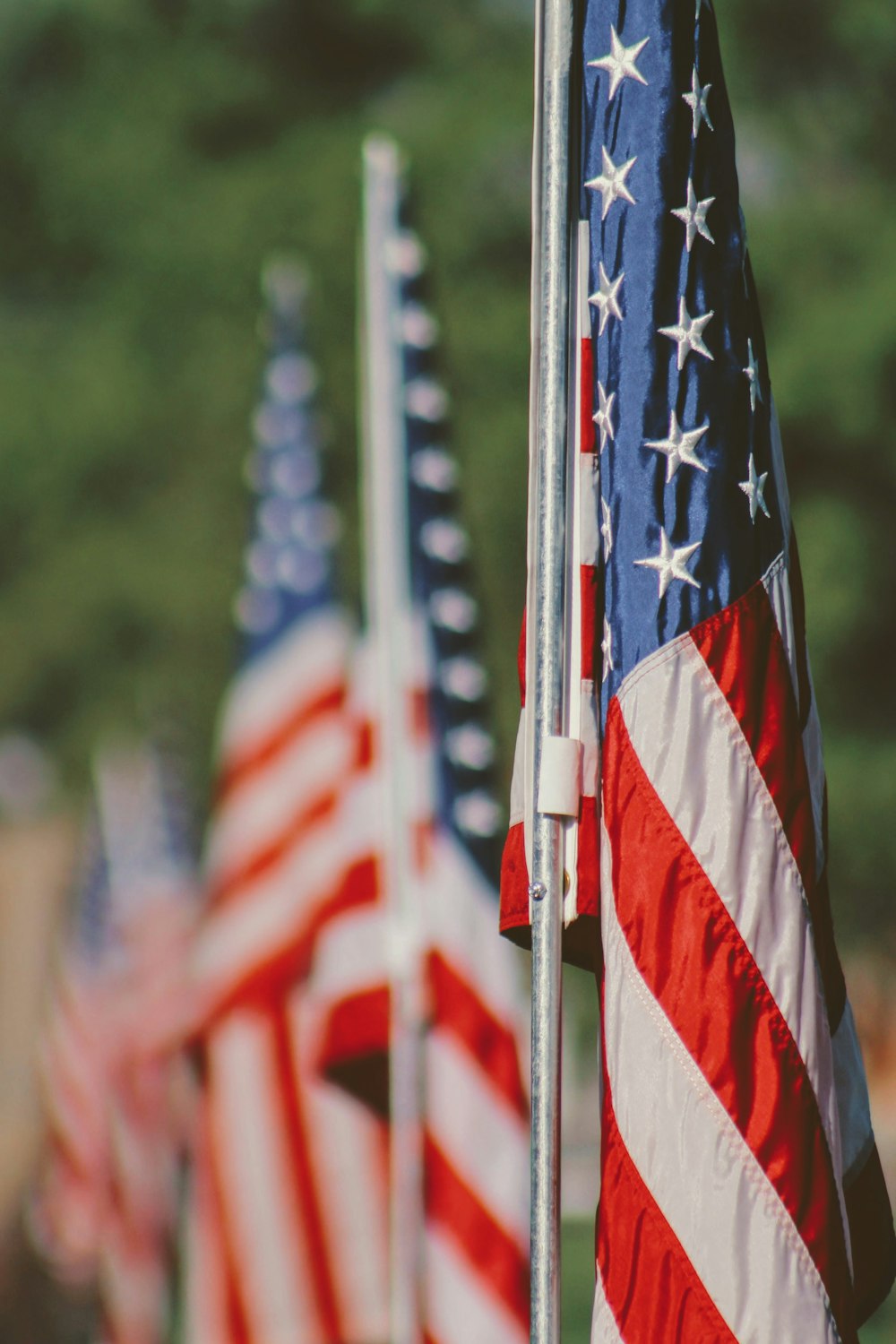 a row of american flags with trees in the background