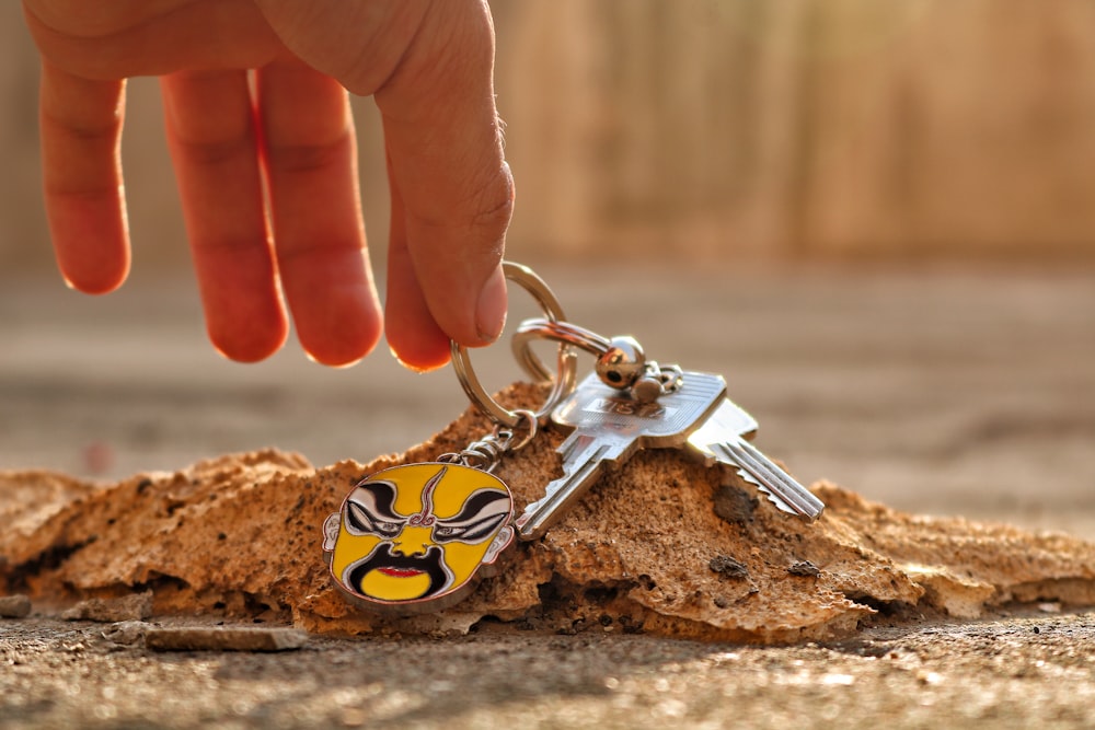 person holding silver and black key