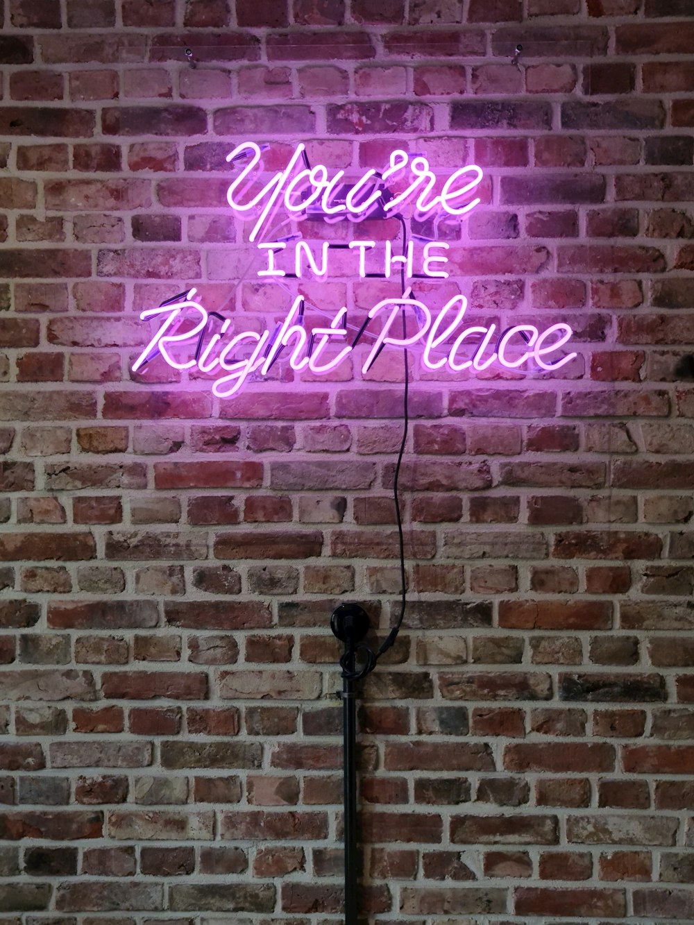 red and white happy birthday neon light signage