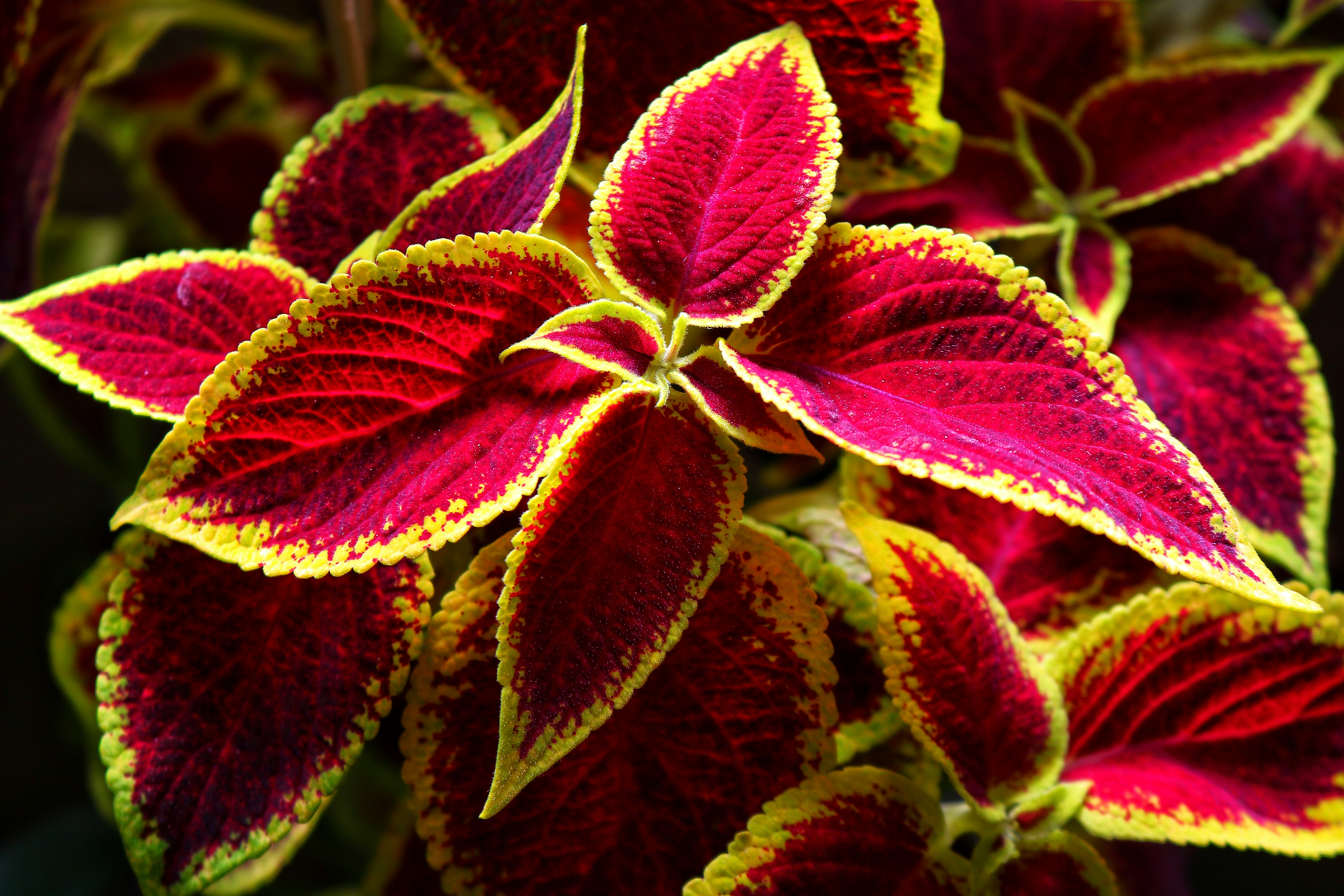 Photo by bamdadnorouzian