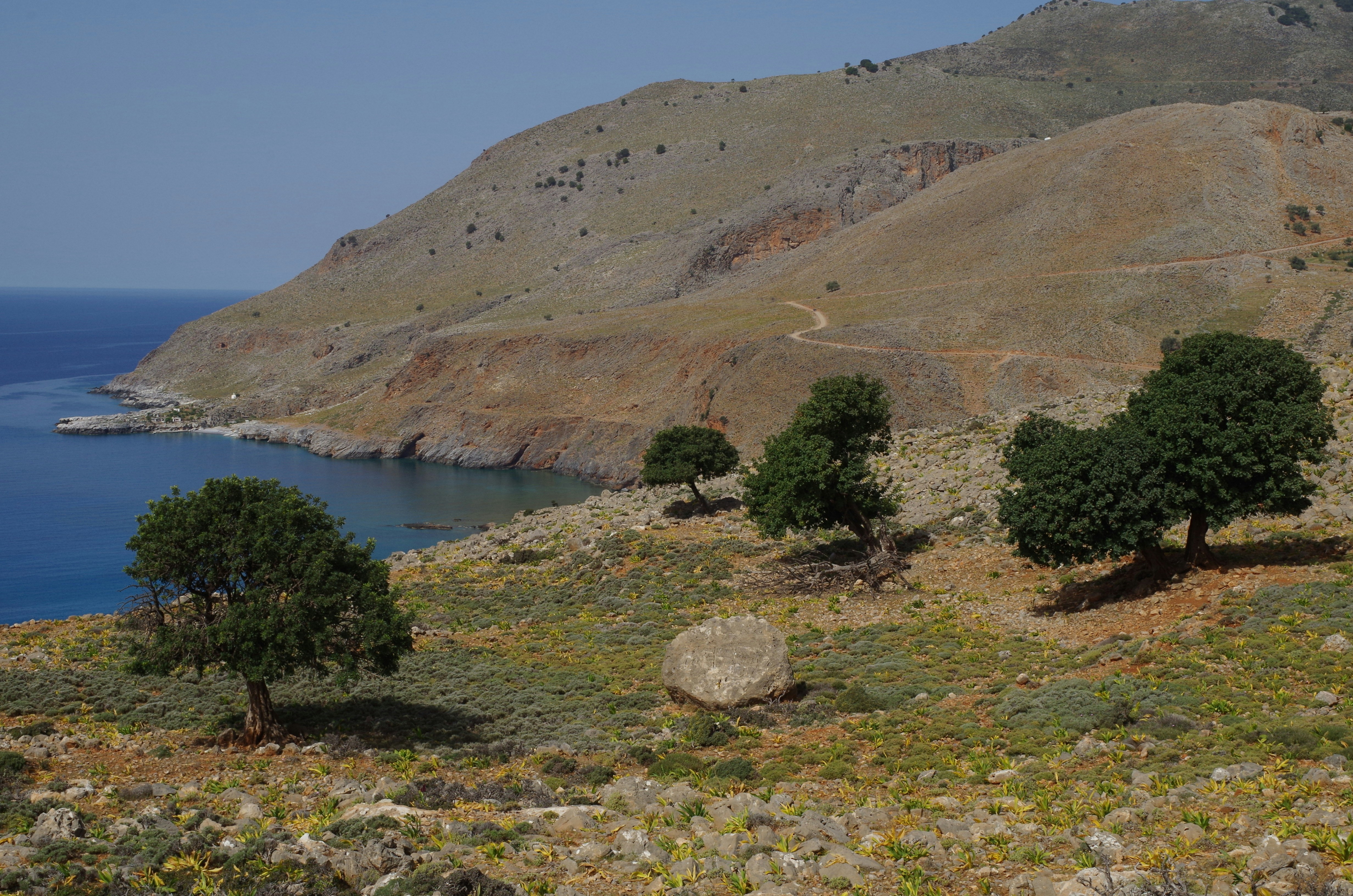 Photo by icimarseille