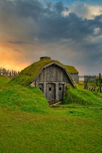 A small, rustic house with a grass-covered roof is nestled into the landscape. The wooden structure exudes an earthy charm, surrounded by lush green grass under a sky transitioning from a golden sunset to a cloud-laden bluish expanse.