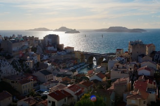 aerial view of city buildings near body of water during daytime