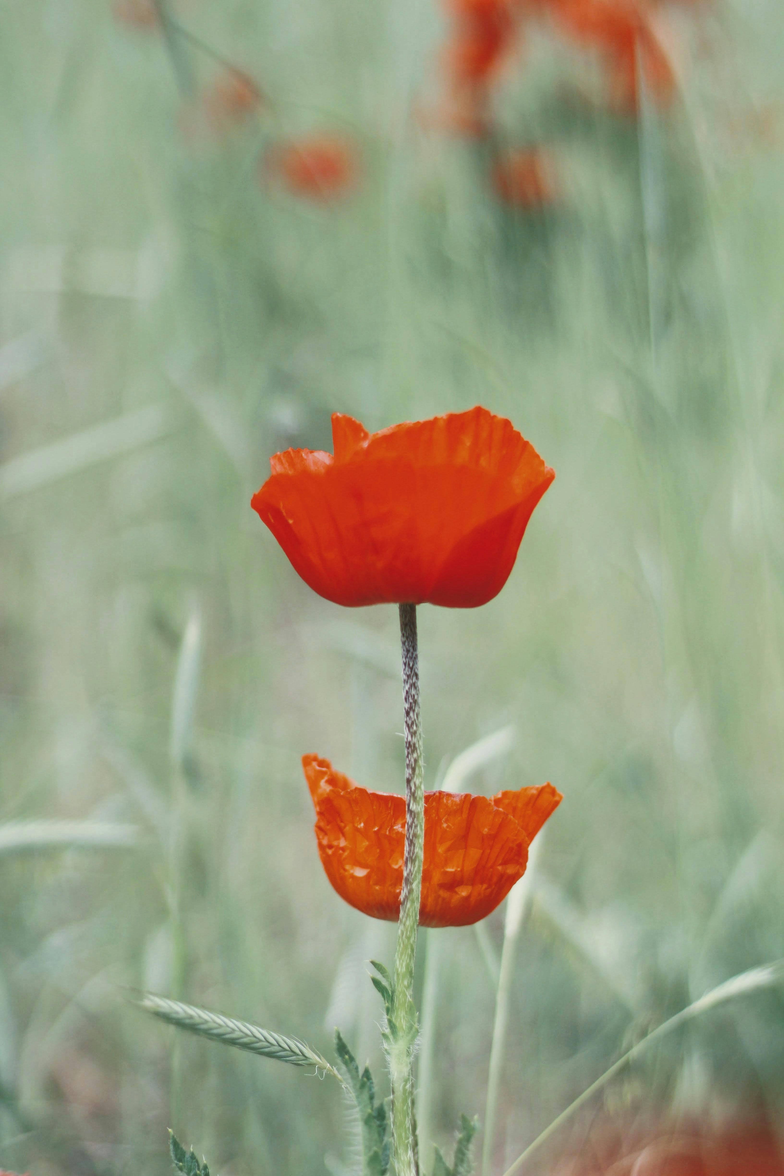 Photo by joshua_hoehne