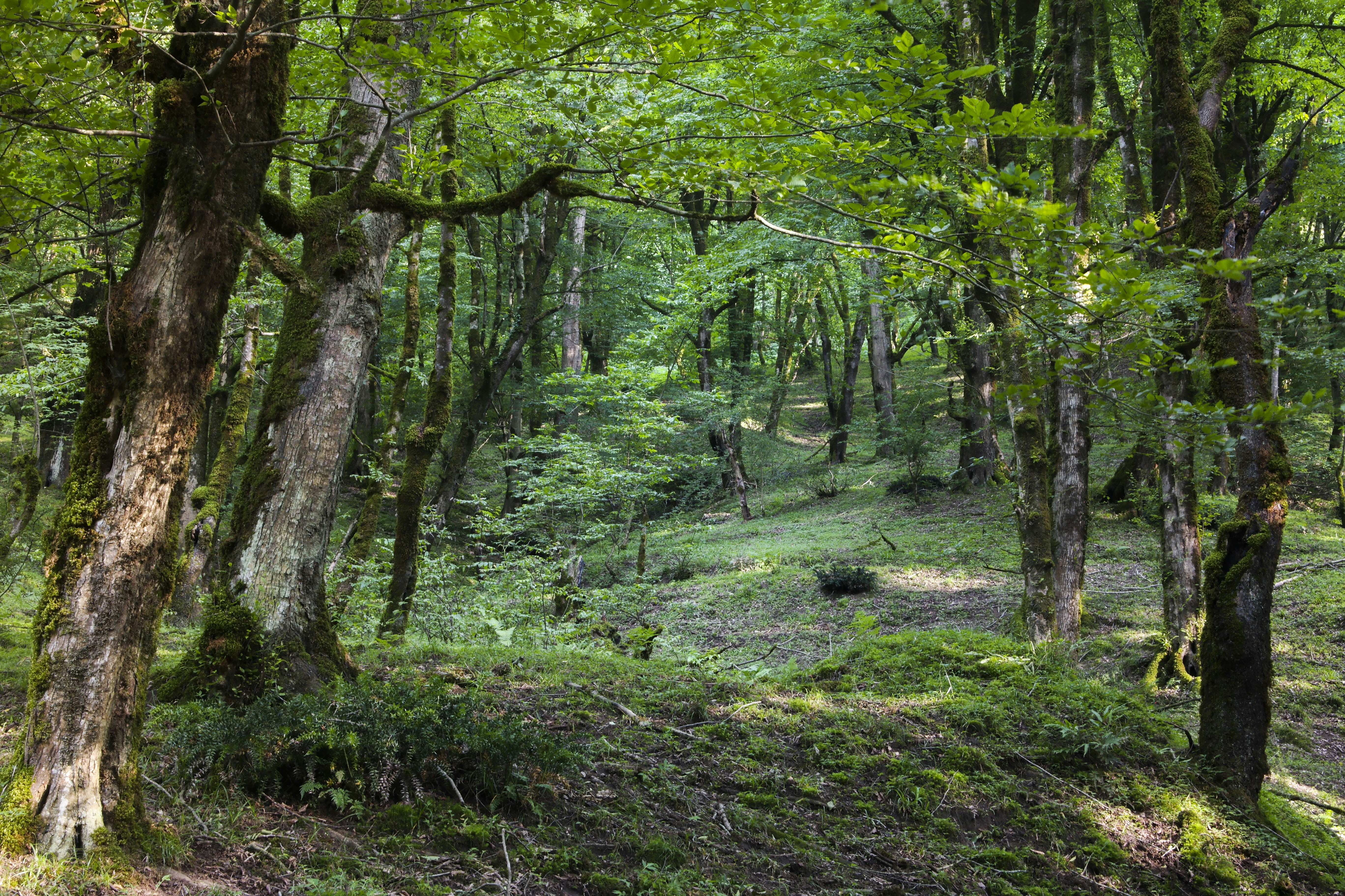 Photo by arsalanarian