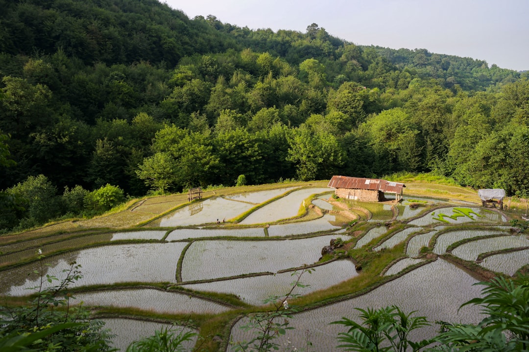 travelers stories about Hill station in Rasht, Iran