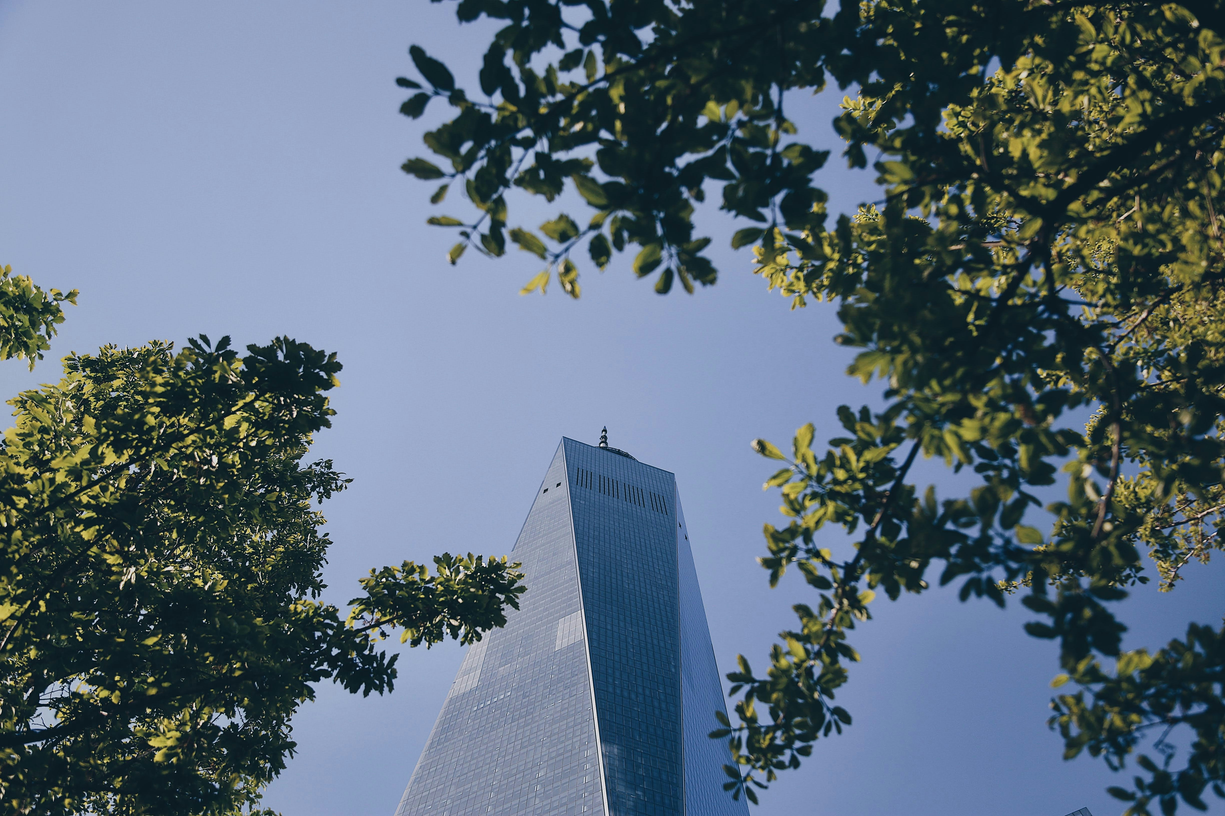 One World Trade Center amidst the nature.