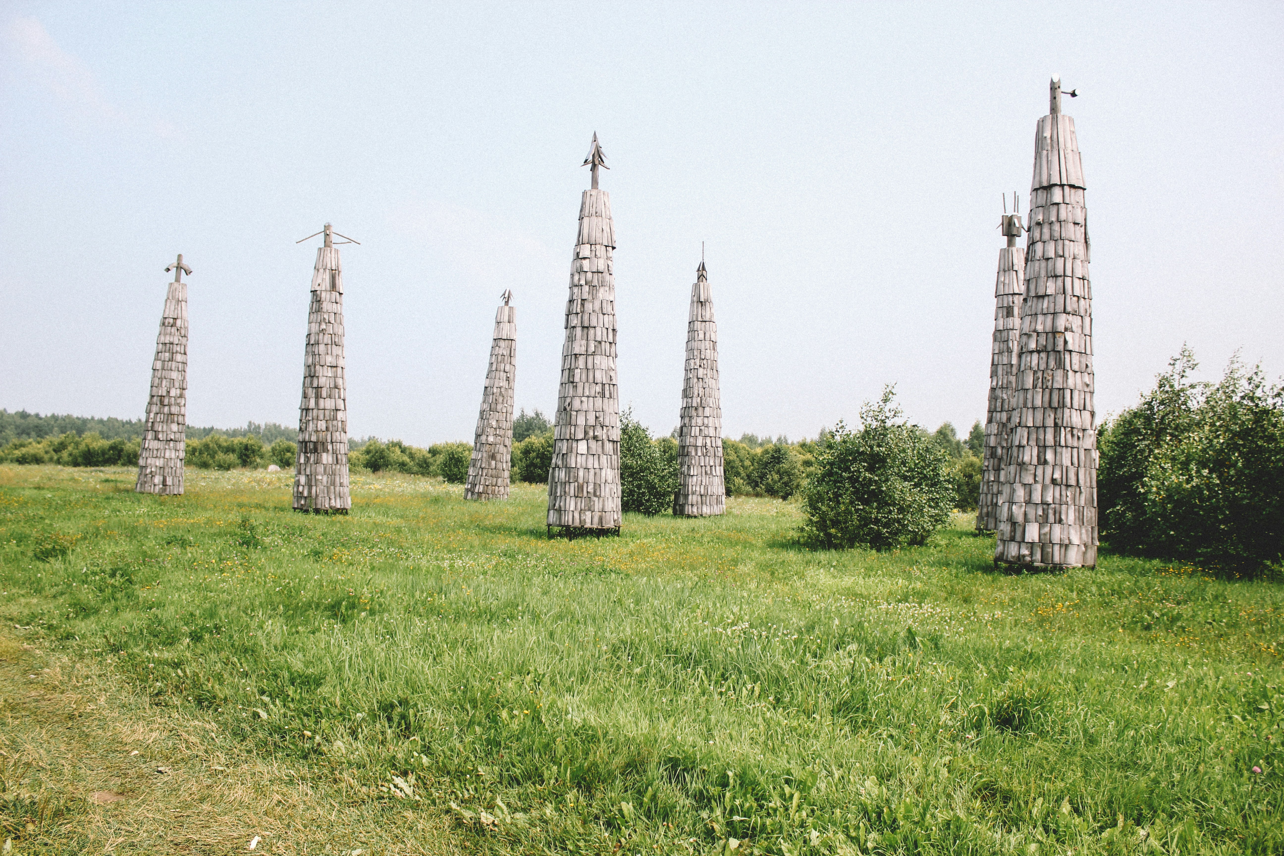 green grass field with trees