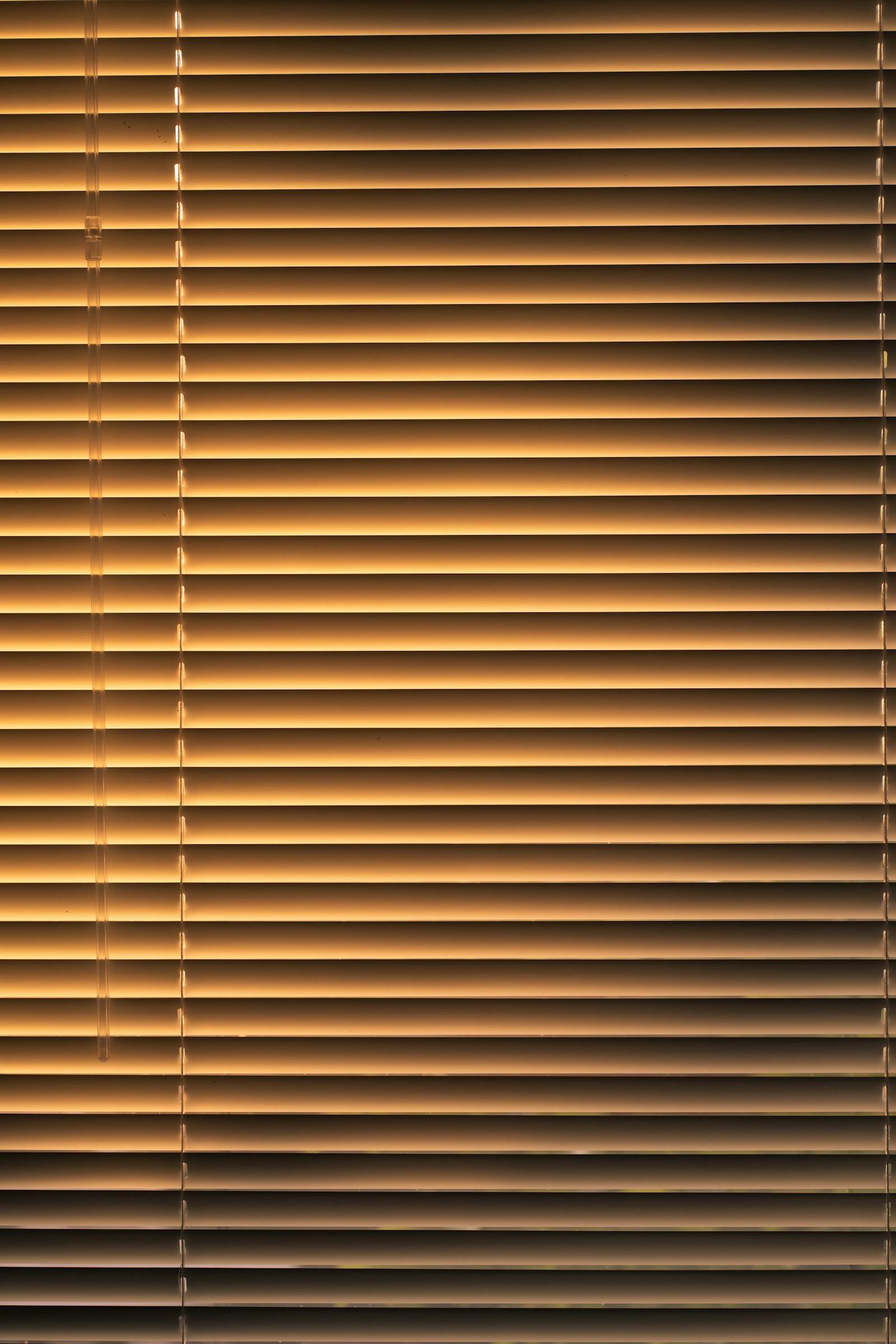 Sony a7R II sample photo. Brown window blinds during photography