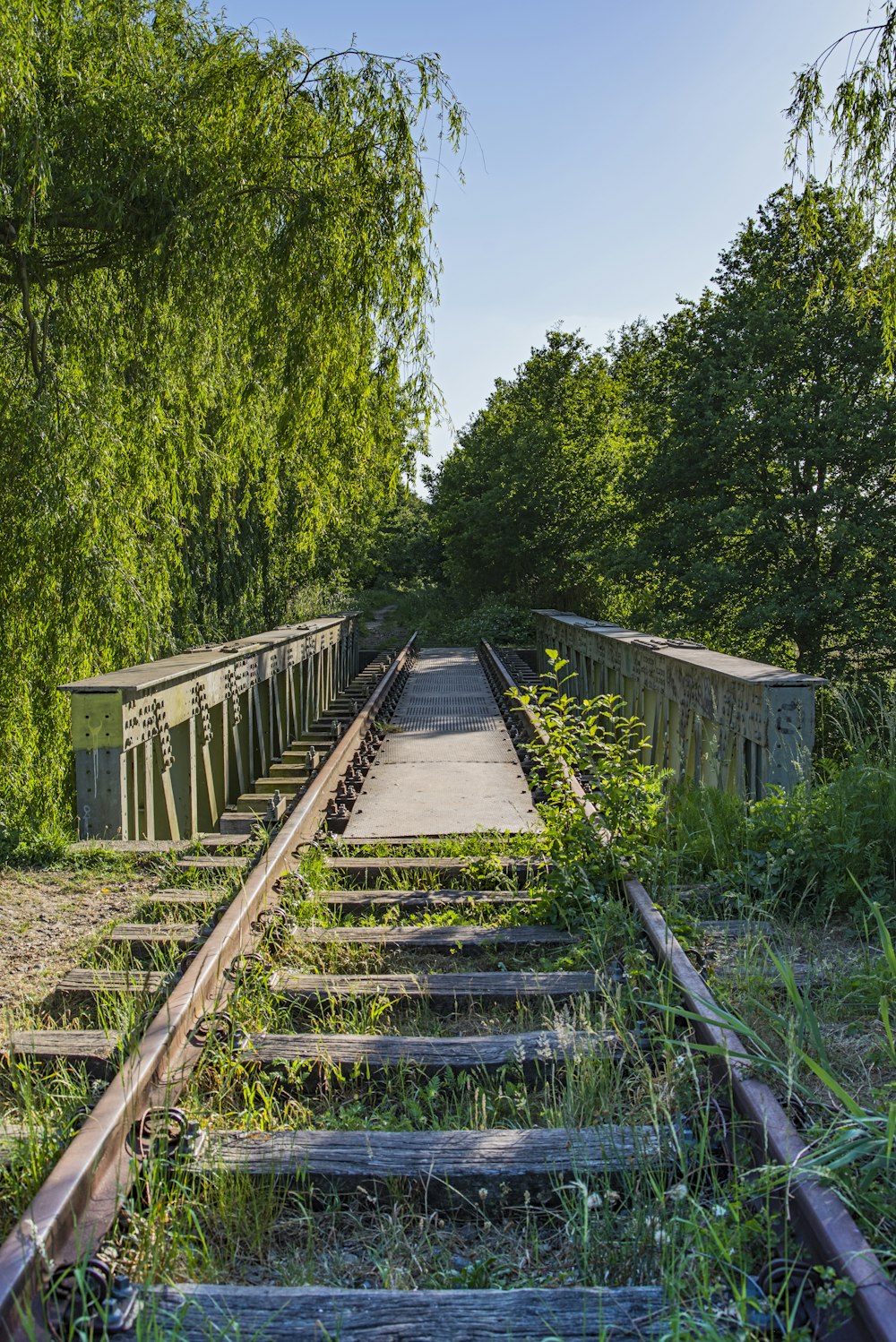 brown wooden bridge in between green trees during daytime