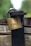 A close-up of a brass padlock with the brand name 'ABUS' and numbers '55/40' engraved on it. The lock is attached to an old, rusted metal latch on a wooden surface. The background is blurred, showing shades of green, suggesting a natural outdoor setting.