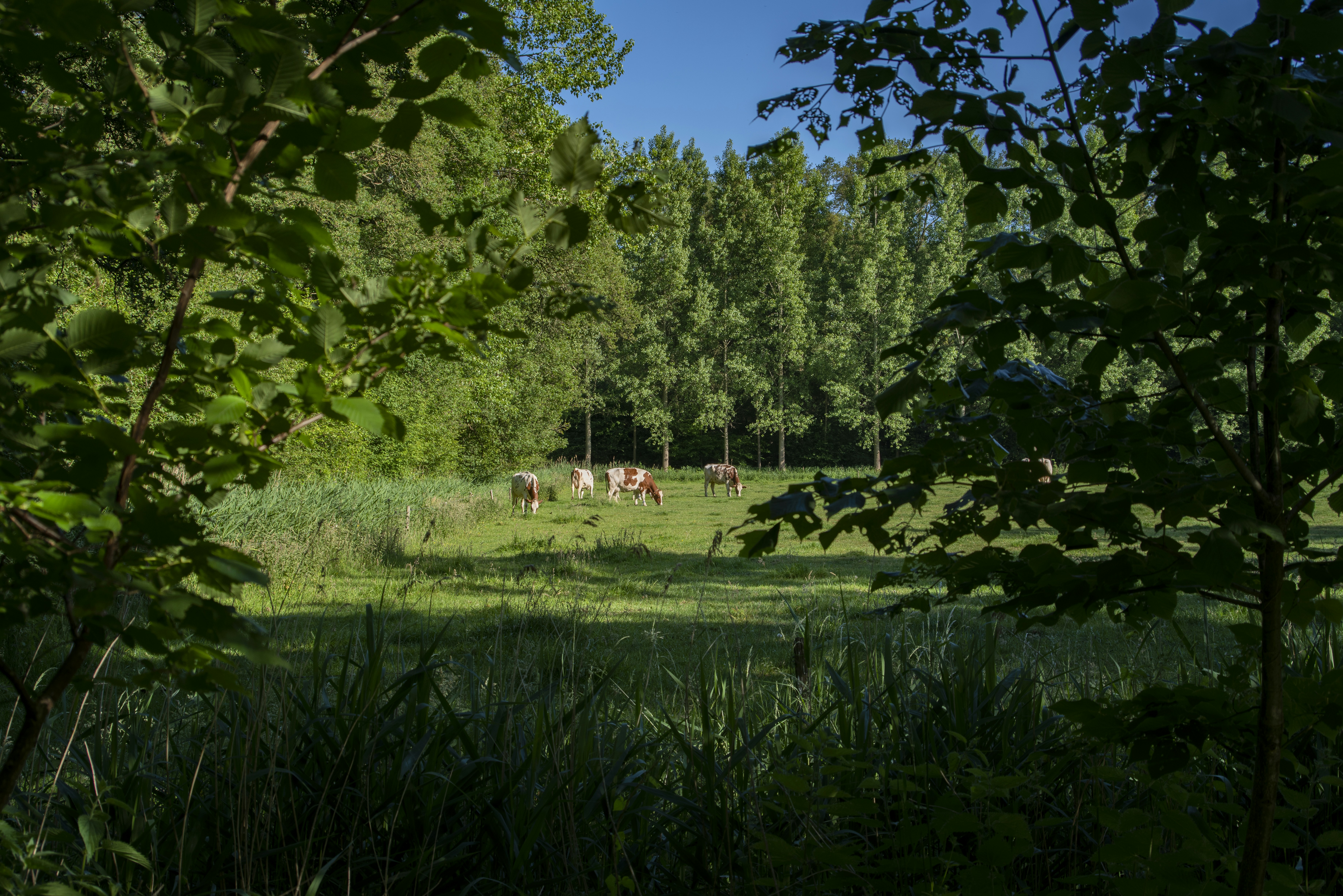 Photo by switch_dtp_fotografie