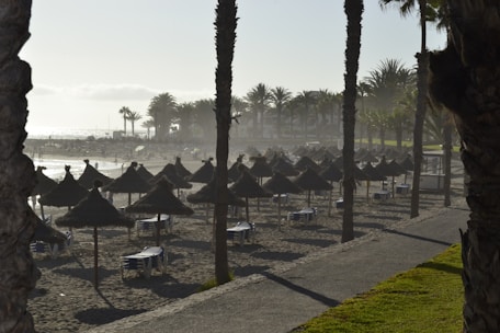 A beach setting with numerous straw umbrellas lined up along the sandy shore. Palm trees are scattered throughout the area, and the sun partially illuminates the scene, casting long shadows. In the background, the ocean is visible with gentle waves, and a few people are walking along the beach.