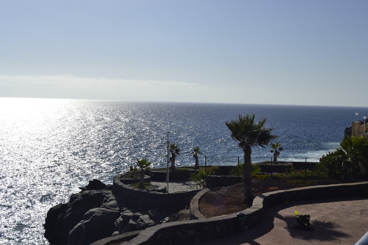Alojamiento vacacional con piscina y palmeras en Tenerife