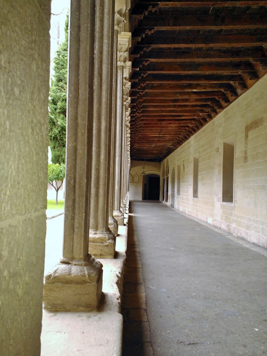 brown and white concrete hallway in Palma de Mallorca Spain