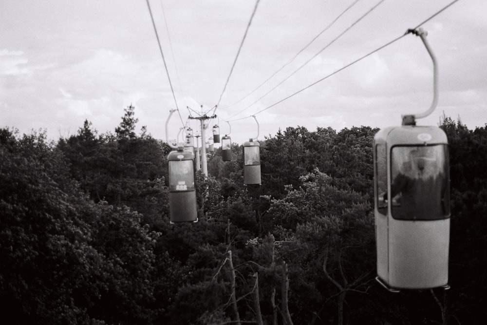 white cable cars over green trees during daytime
