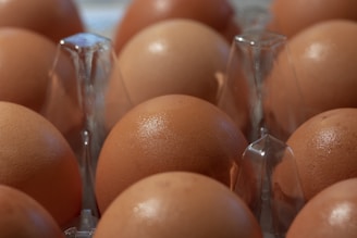 Several brown eggs neatly arranged in a transparent plastic egg carton. The eggs display a natural sheen, and the plastic casing is slightly visible between them, reflecting light subtly.