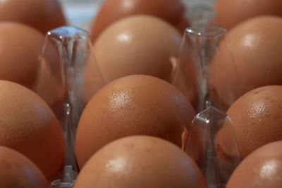 Freshly laid eggs arranged neatly in natural light showcasing their quality.