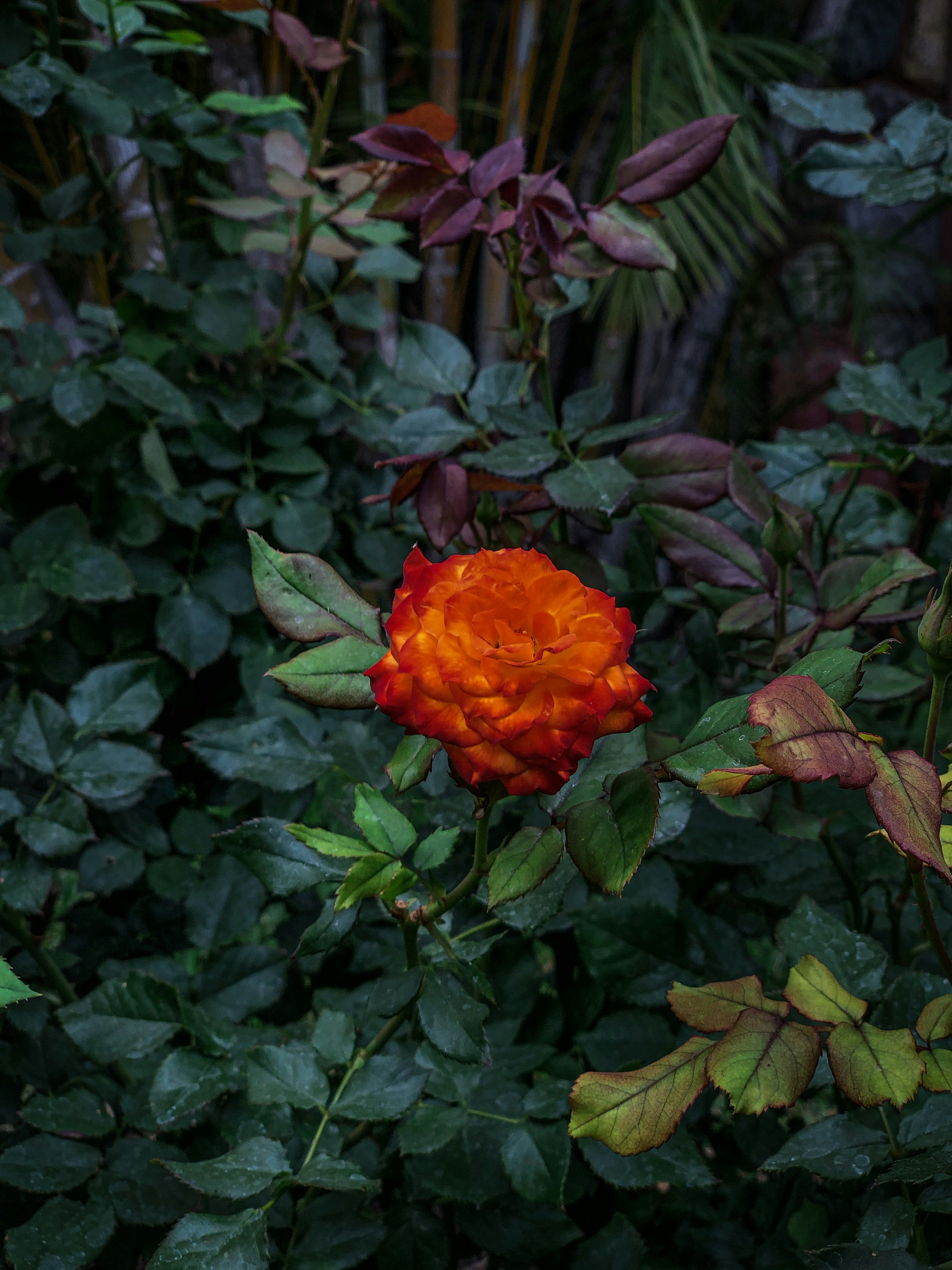 Photo by salberto2000