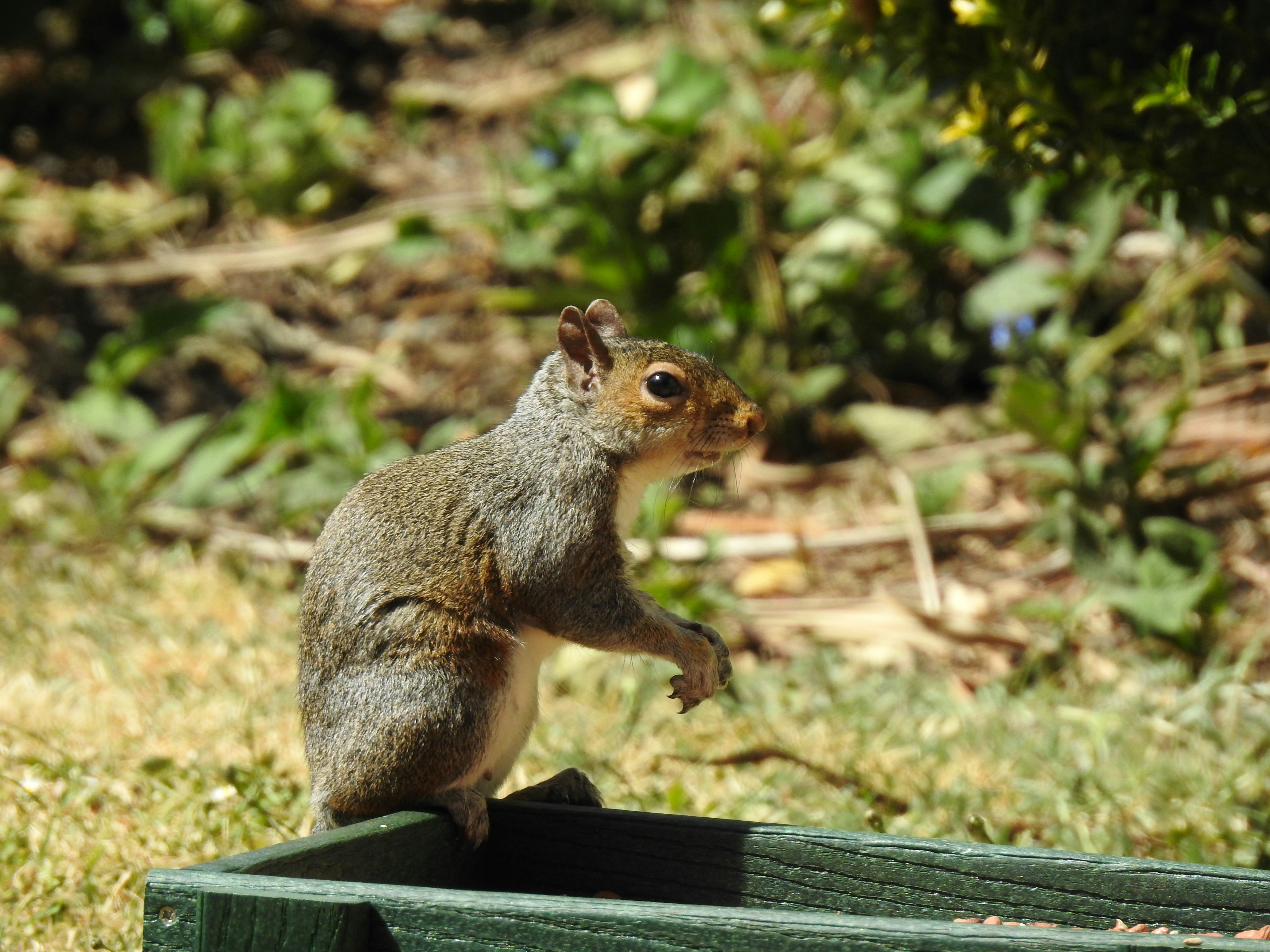 Photo by vijaychadha