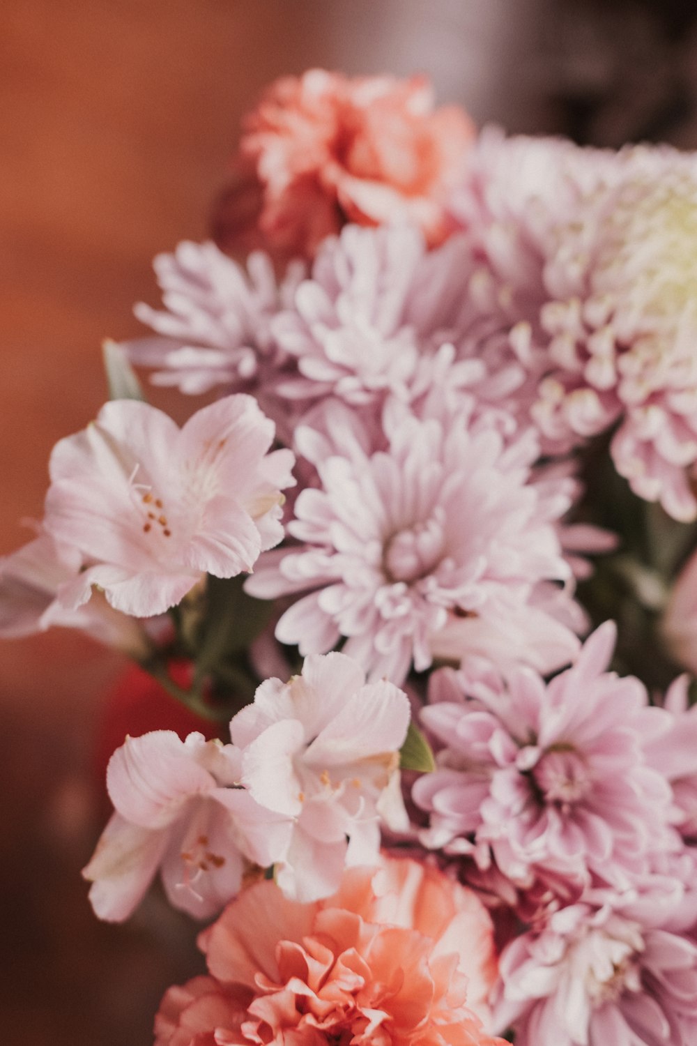 pink and white flowers in tilt shift lens