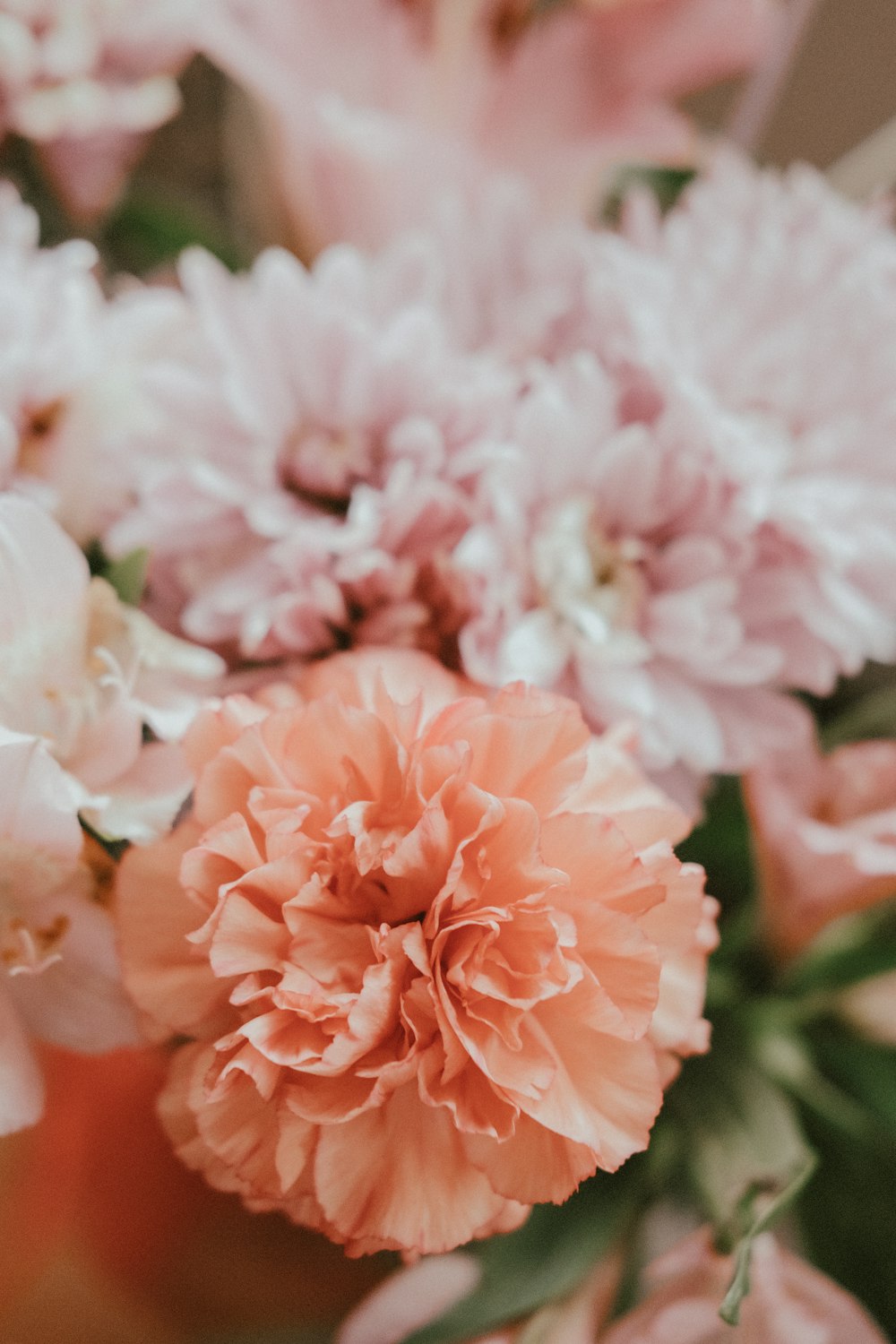 pink flowers in tilt shift lens