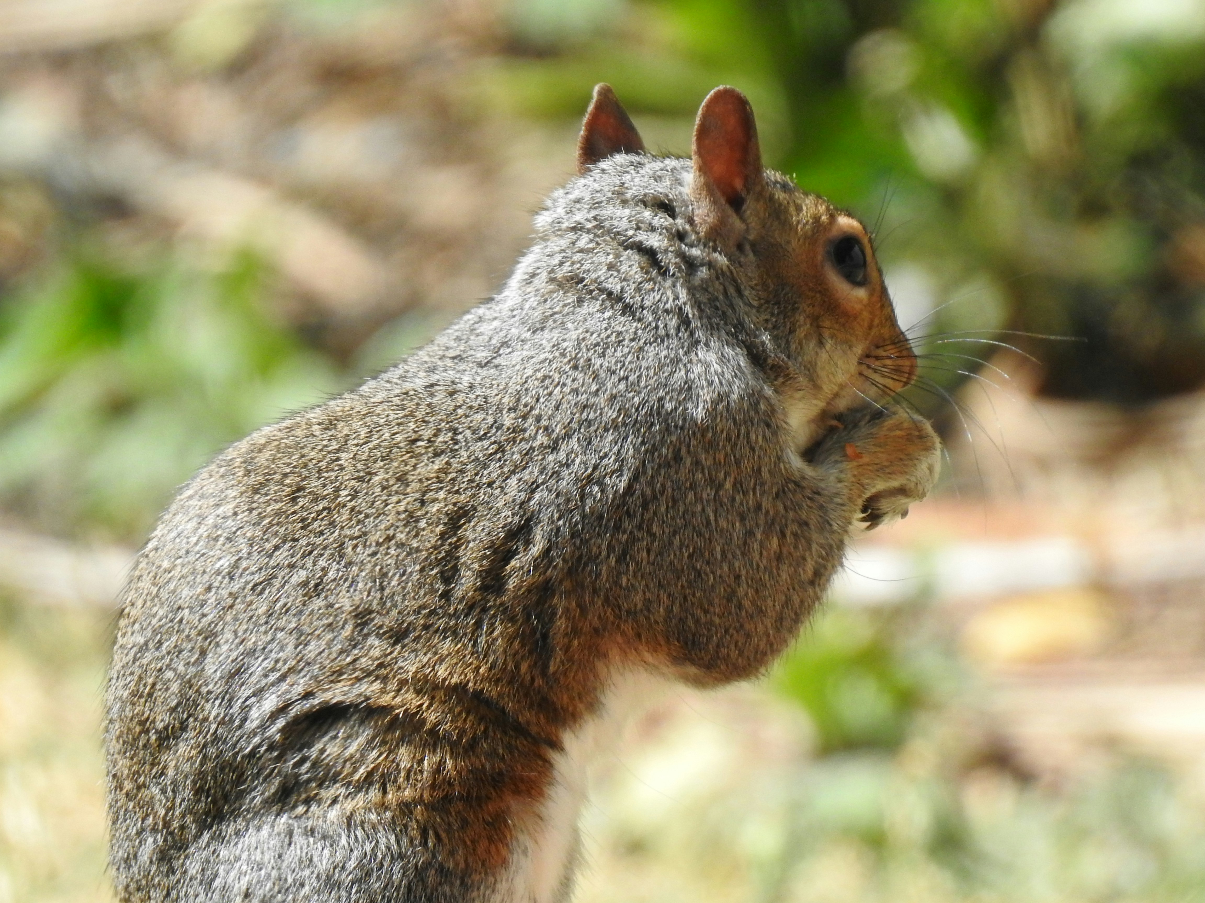 Photo by vijaychadha