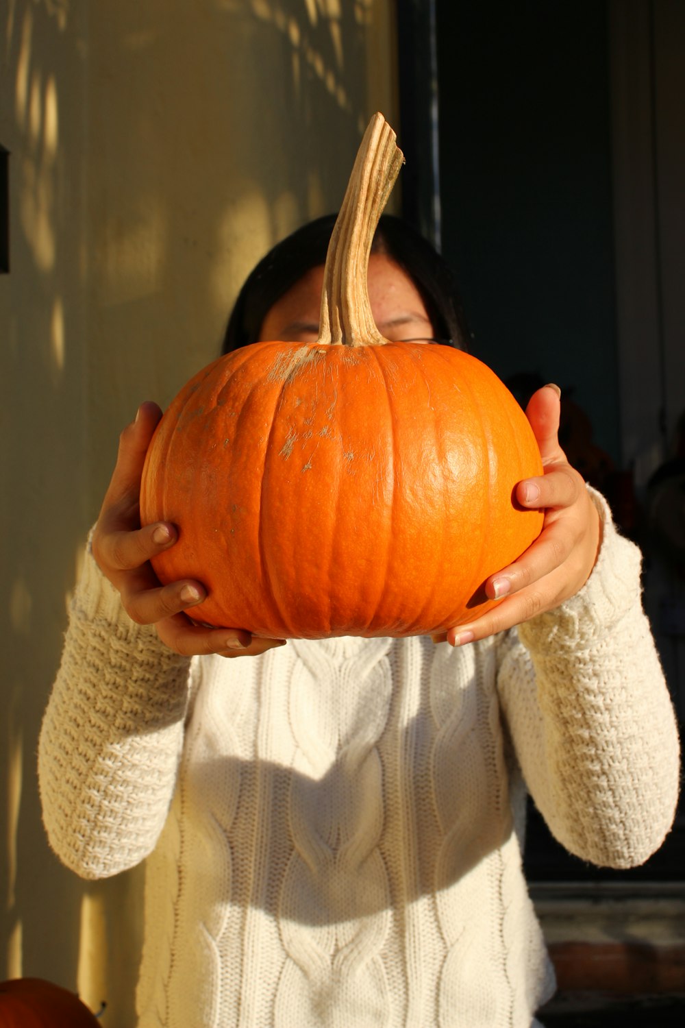 person holding pumpkin in close up photography