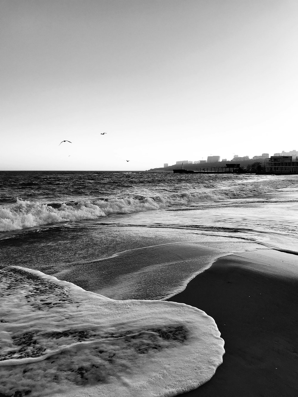 grayscale photo of birds flying over the sea