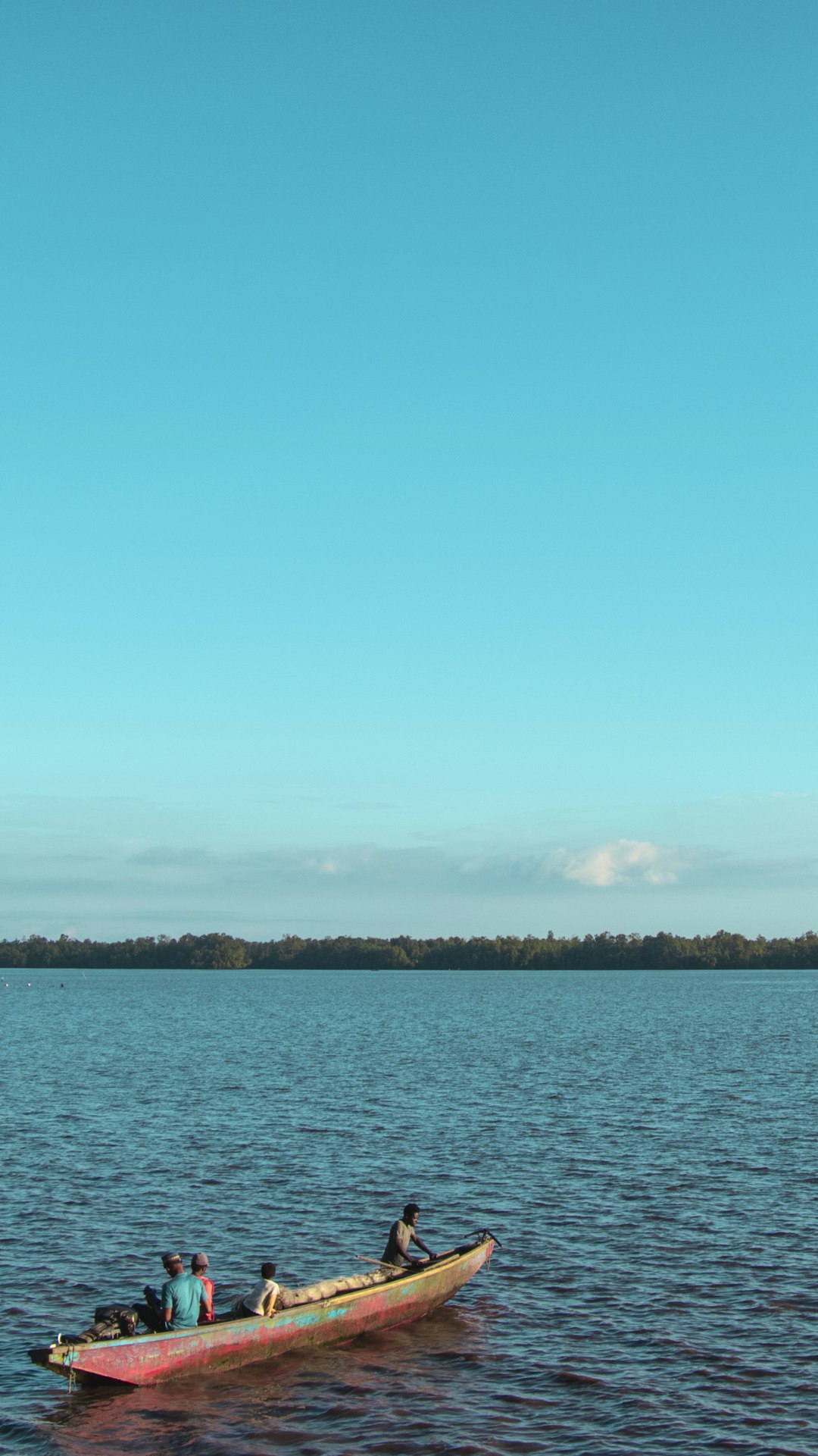 green trees near body of water under blue sky during daytime