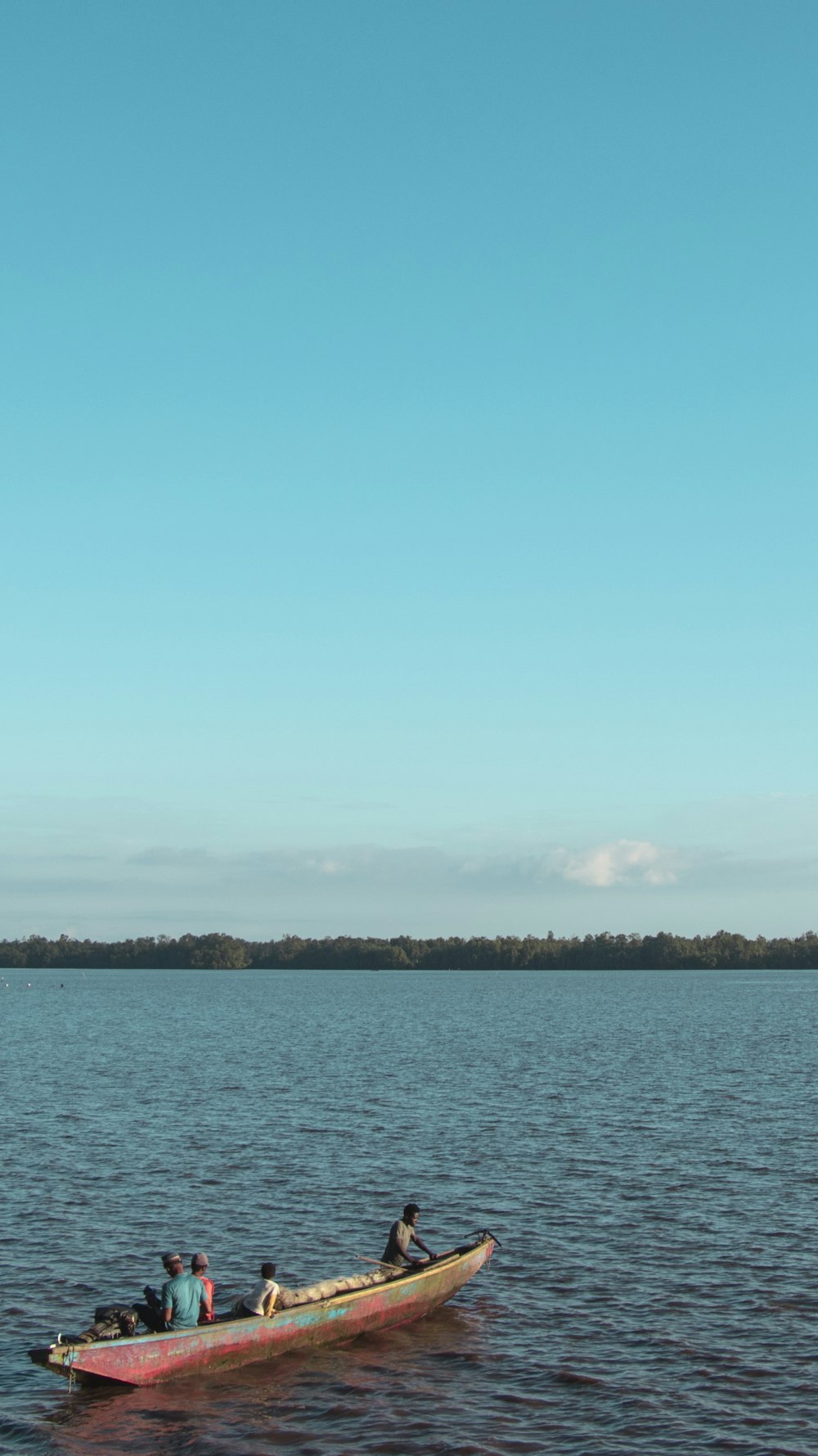 green trees near body of water under blue sky during daytime