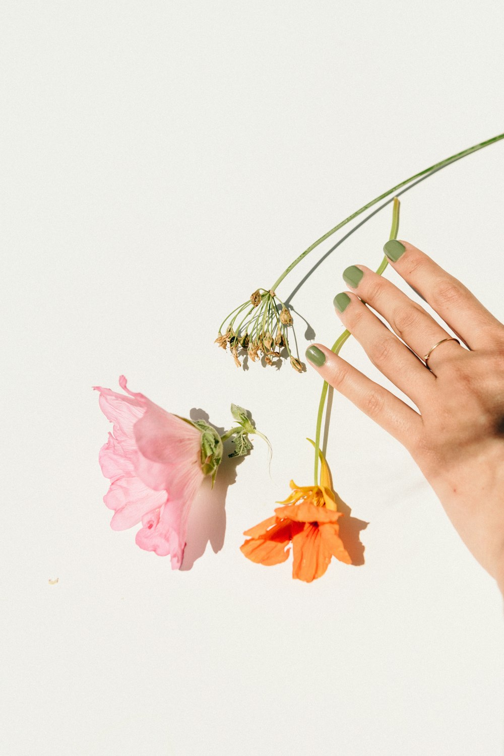 person holding pink and yellow flowers