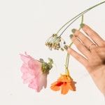 person holding pink and yellow flowers